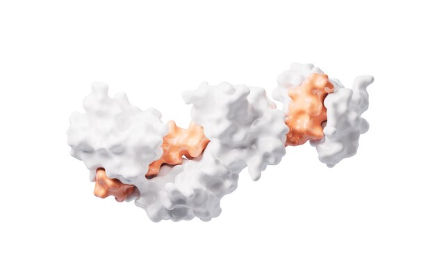 Structure protéique avec concept biologique rendu en 3D