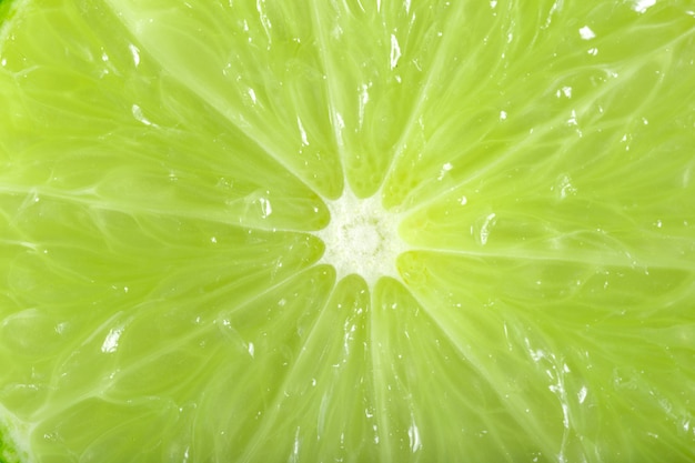 Studio macro d'une belle lime verte