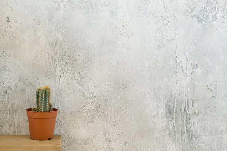 Photo style flore et loft. cactus sur commode.