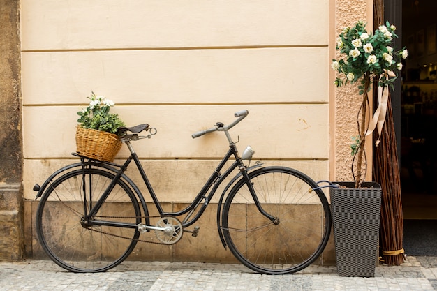 Style vieille Europe, un vélo avec un panier de fleurs fraîches est garé près de l'entrée de la maison