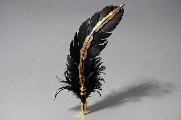 Un stylo à plumes noir et doré