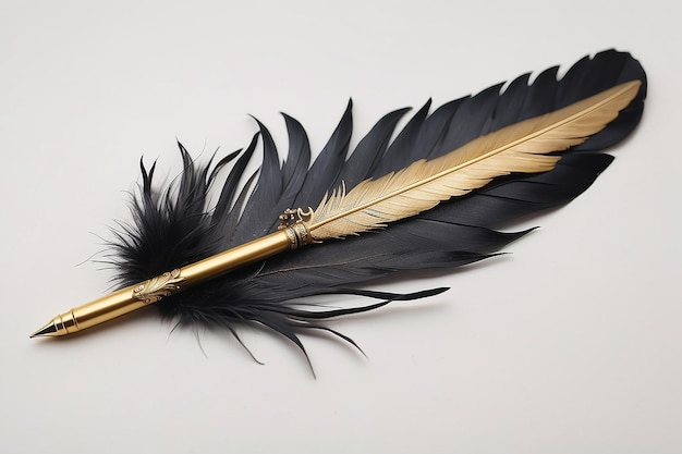 Un stylo à plumes noir et doré