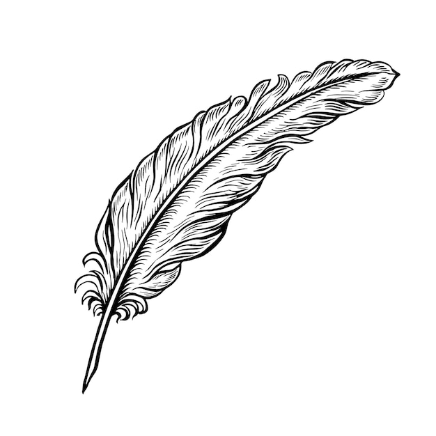 Un stylo pour le manuscrit Vector graphiques dessinés à la main en noir et blanc sur un fond blanc