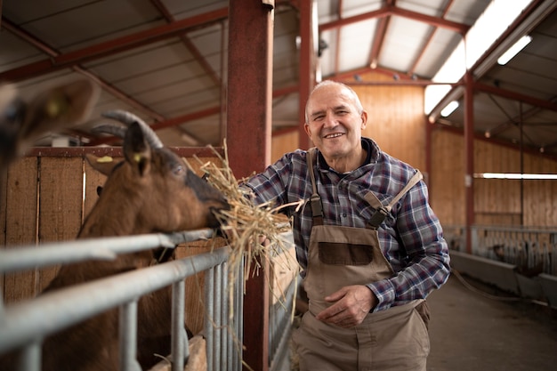 Succès fermier souriant nourrir les animaux domestiques de chèvre avec des aliments biologiques de foin