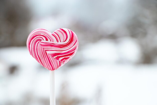 Sucette rose en forme de coeur. Bonbons au caramel sur un bâton. Cadeau doux pour la Saint Valentin.