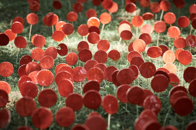 Sucettes rouges sur bâton contre l'herbe verte des objets d'art terrestre en plein air pour le concept environnemental