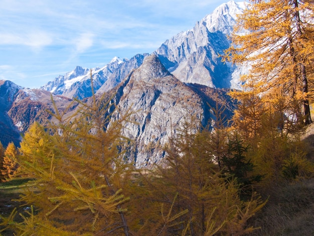 Suche courmayeur val daoste ITALIE