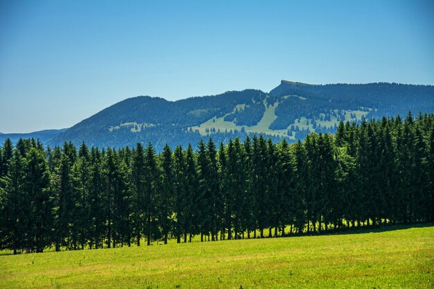 Suisse Nature Genève