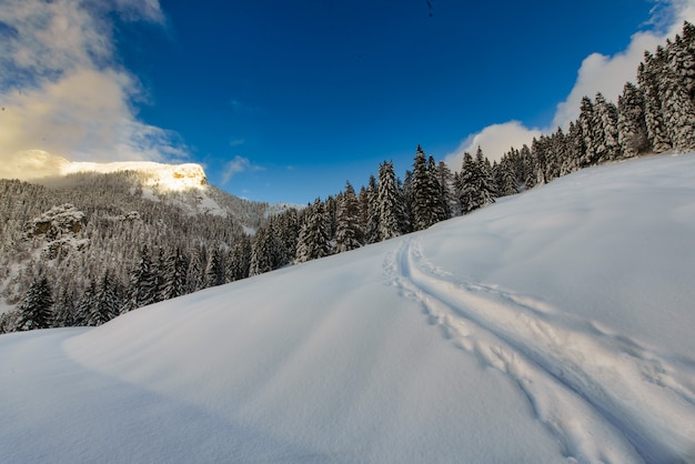 Suivre une montée dans la neige avec ski et peaux de phoque