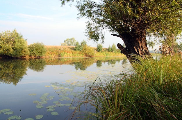 Summer Lake