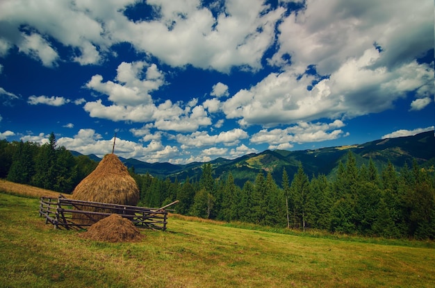 Summer Mountain Landscape