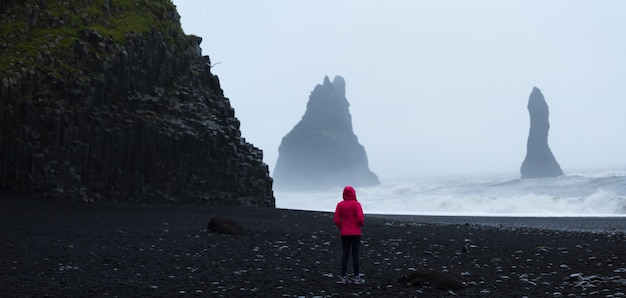 Summertime, Femme Dans Un Manteau Rose Se Tenant Debout Sur Une Plage De Sable Noir En Islande, Concept De Destinations De Voyage