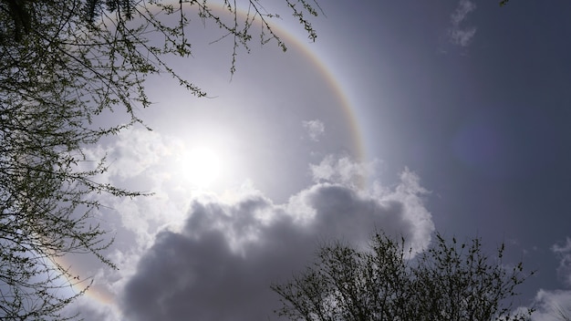 Sun halo blanc quelques branches de roche et d&#39;arbre sur la journée ensoleillée