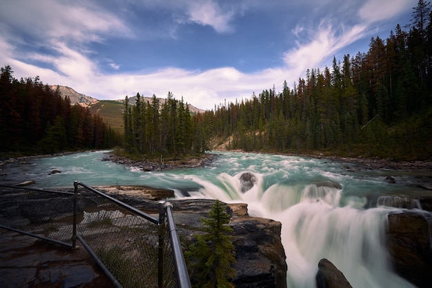 Sunwapta tombe dans les Rocheuses canadiennes