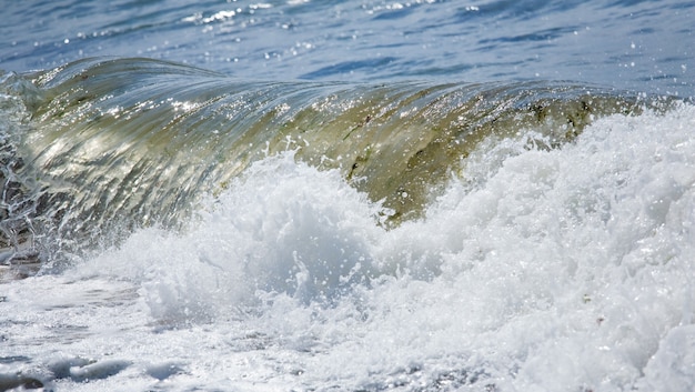 Super vague de surf sur la mer sur la côte