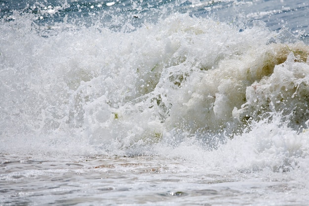 Super vague de surf sur la mer sur la côte