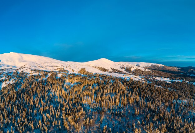 Superbe panorama d'hiver avec des arbres et des collines