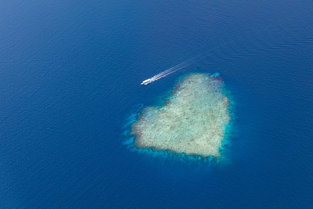 Superbe paysage ensoleillé de plage de récifs coralliens relaxant en forme de coeur paisible avec un bateau passant par un bleu profond
