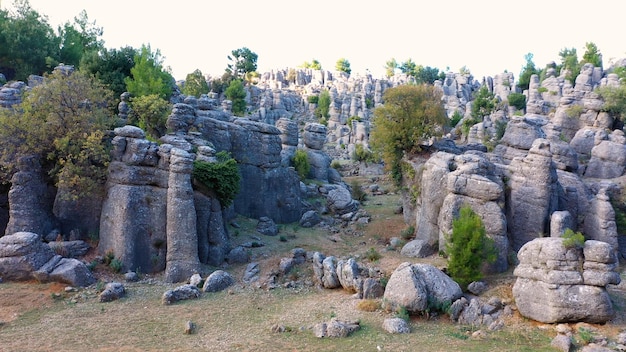 Superbe paysage naturel avec de belles formations rocheuses et des plantes à feuilles persistantes fond de pierres rocheuses