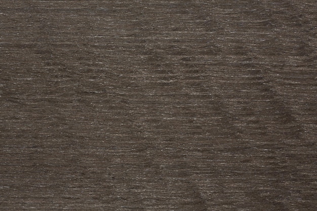 Superbe texture de placage gris élégant