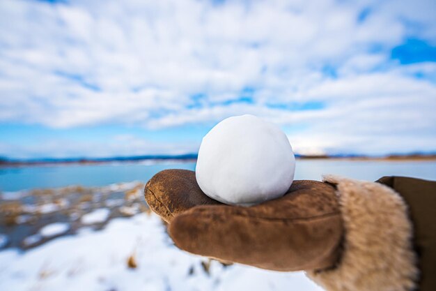 Superbe vue et décor boule de neige de Miyajimanuma