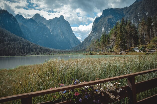 Superbe vue sur le lac dobbiaco, au trentin