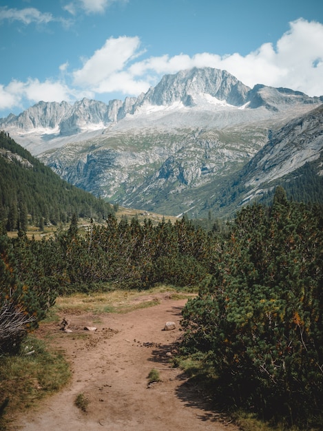 Une superbe vue sur le lac MALGA BISSINA et sur le Val di fumo