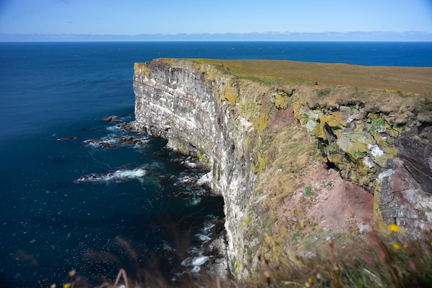 Superbes falaises de Latrabjarg, la plus grande falaise d'oiseaux d'Europe