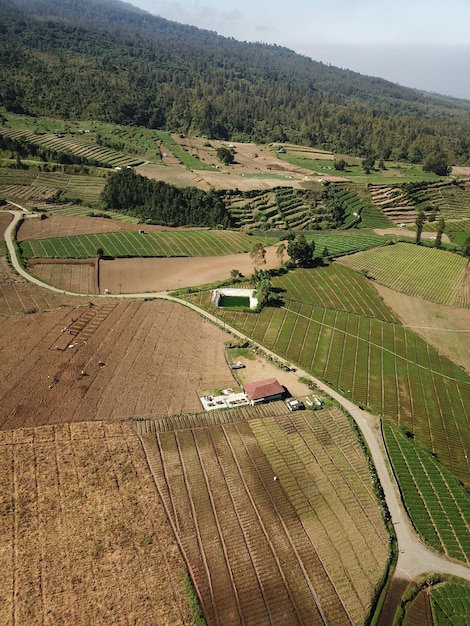 Photo superficie de plantation