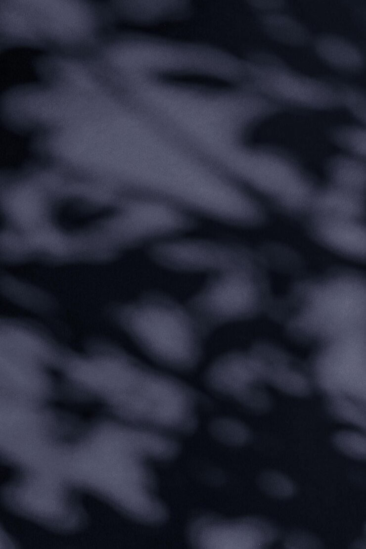 Photo superposition d'ombres botaniques d'art abstrait sur fond noir pour le luxe de vacances et la conception de flatlay vintage