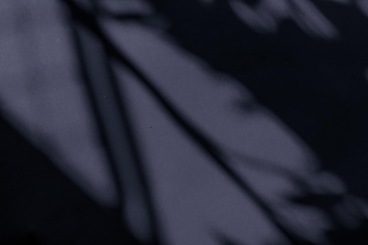 Photo superposition d'ombres botaniques d'art abstrait sur fond noir pour le luxe de vacances et la conception de flatlay vintage