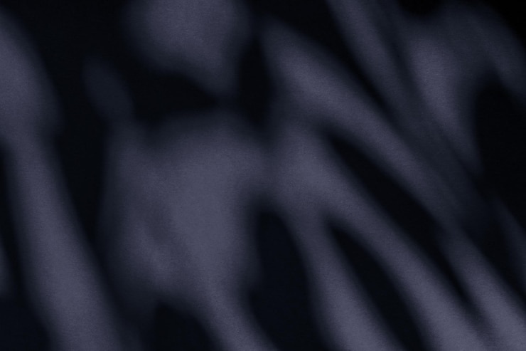 Photo superposition d'ombres botaniques d'art abstrait sur fond noir pour le luxe de vacances et la conception de flatlay vintage