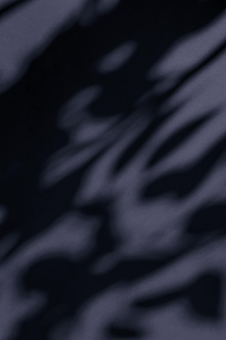 Photo superposition d'ombres botaniques d'art abstrait sur fond noir pour le luxe de vacances et la conception de flatlay vintage