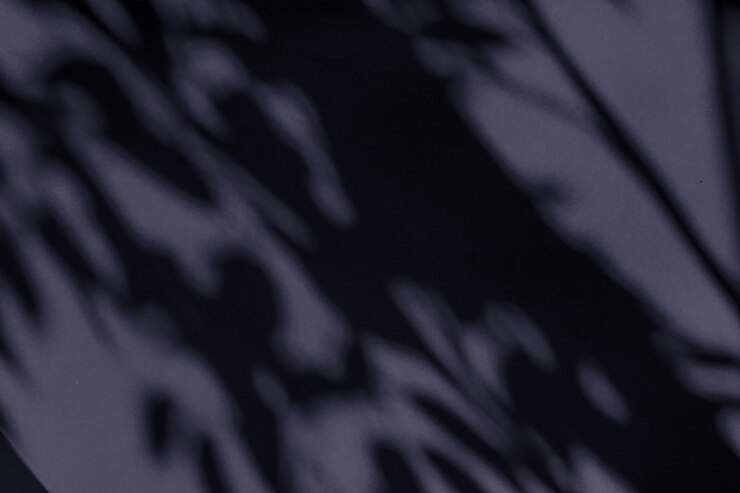 Photo superposition d'ombres botaniques d'art abstrait sur fond noir pour le luxe de vacances et la conception de flatlay vintage