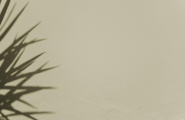 Superposition de plantes botaniques d'ombre naturelle sur fond de texture abstraite de mur de ciment avec espace