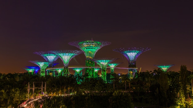 Supertrees Illuminés Pour Spectacle De Lumière Dans Les Jardins De La Baie Dans La Nuit, Emblème De Singapour