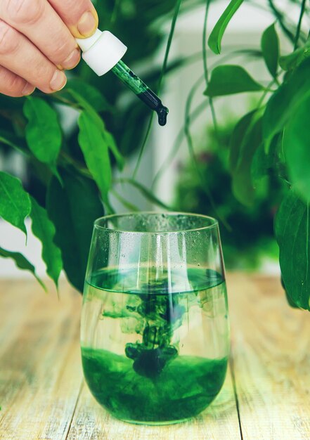 Supplément de chlorophylle dans un verre d'eau Mise au point sélective