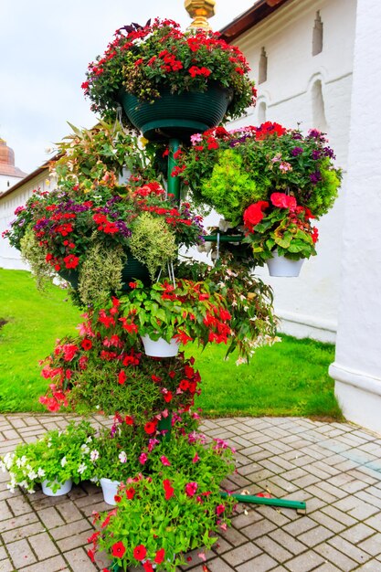 Support en fer avec de nombreux pots de fleurs avec différentes fleurs épanouies