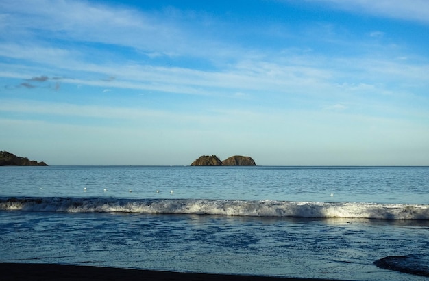 Sure sur la plage