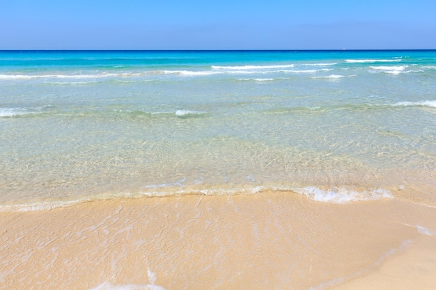 Surf en mer sur la plage