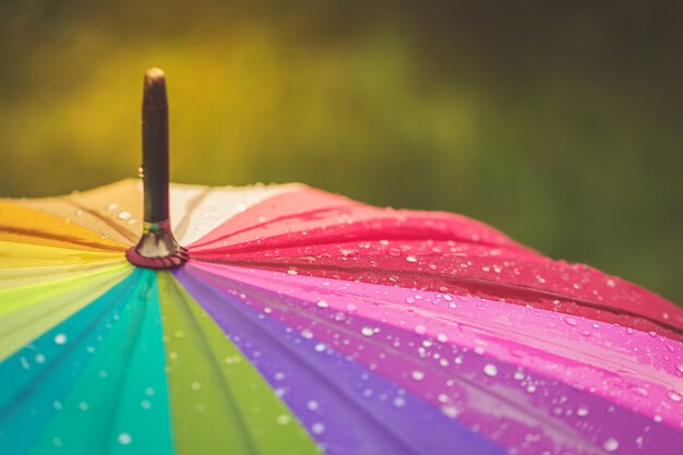 Surface, arc-en-ciel, parapluie, à, gouttes pluie, dessus