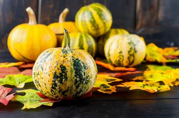 Surface d'automne avec des citrouilles, des feuilles