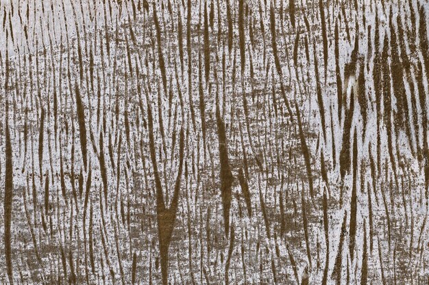 Photo surface en bois comme texture de fond solide