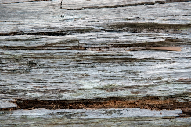 surface en bois patinée