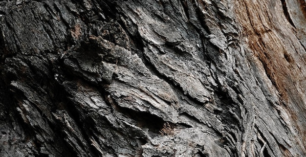 surface en bois texturée naturelle