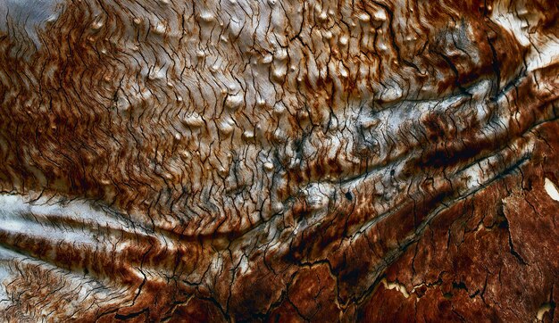 surface en bois texturée naturelle