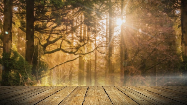 Surface en bois vide dans le contexte d'une forêt d'automne