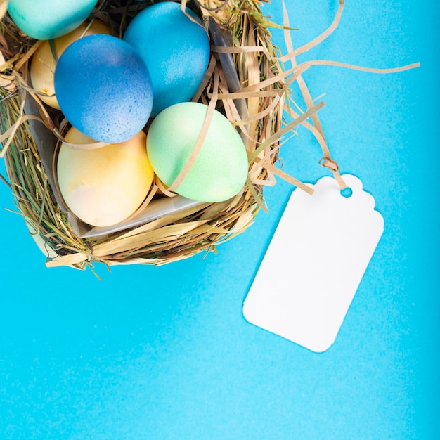 Surface colorée avec des oeufs de Pâques sur une surface bleue