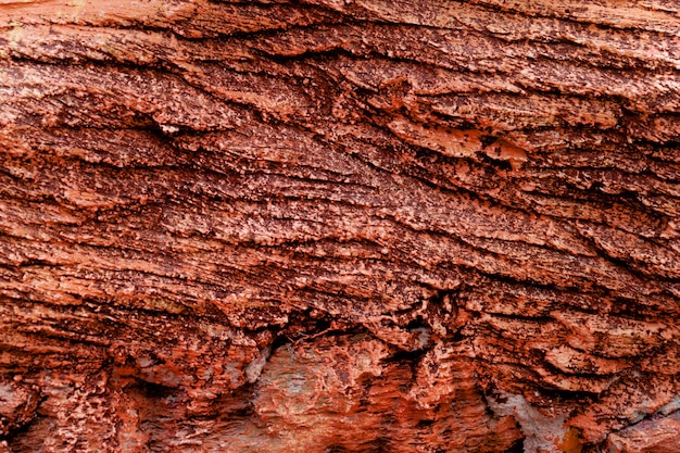 Surface de la couche Red Rock pour le fond de texture