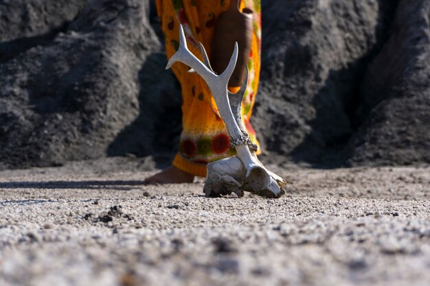 Surface d'un désert sans eau avec un crâne d'animal au premier plan et une figure féminine